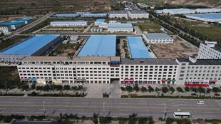 內蒙原果沙棘蜜漿 工廠直供30ml袋裝批發，保健食品新風尚